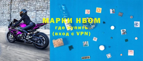 сатива Белокуриха